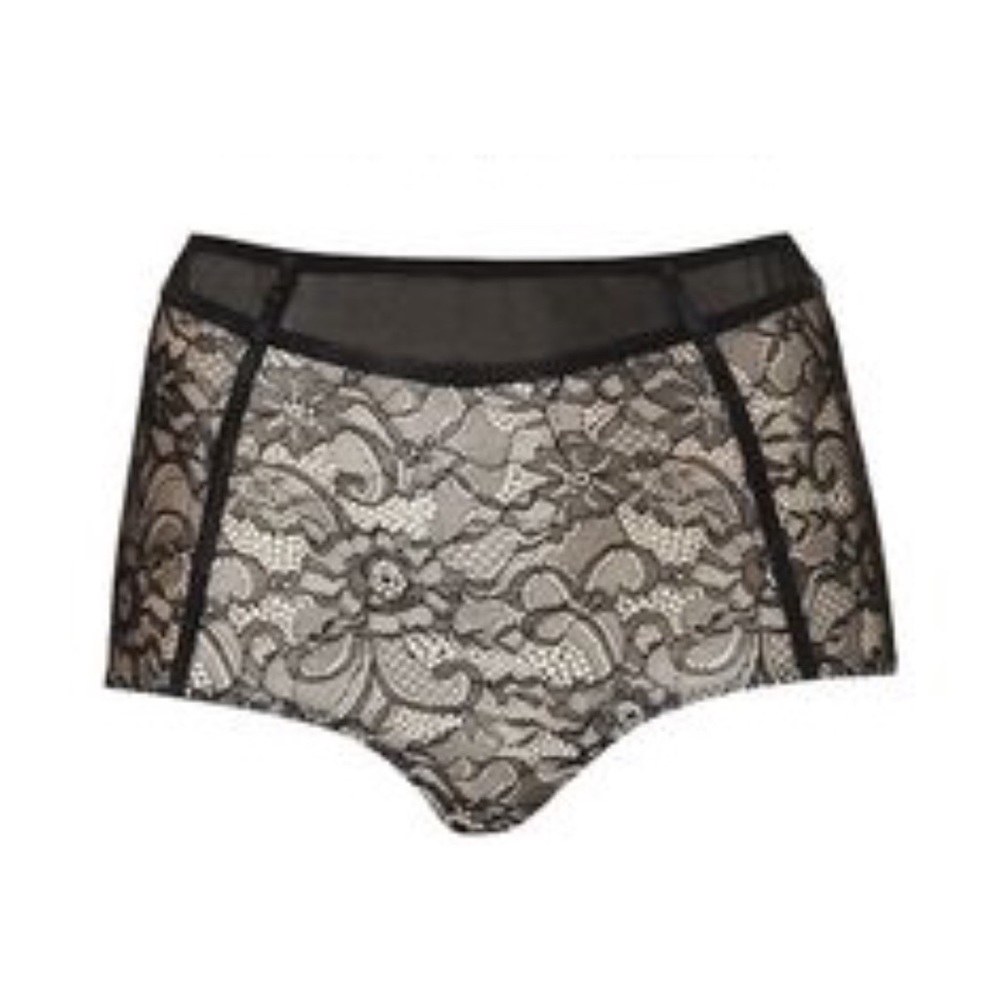 Lace Mesh Paneled Knickers